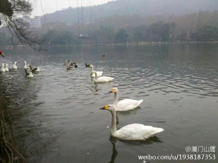 上传的图片