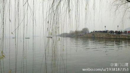 上传的图片