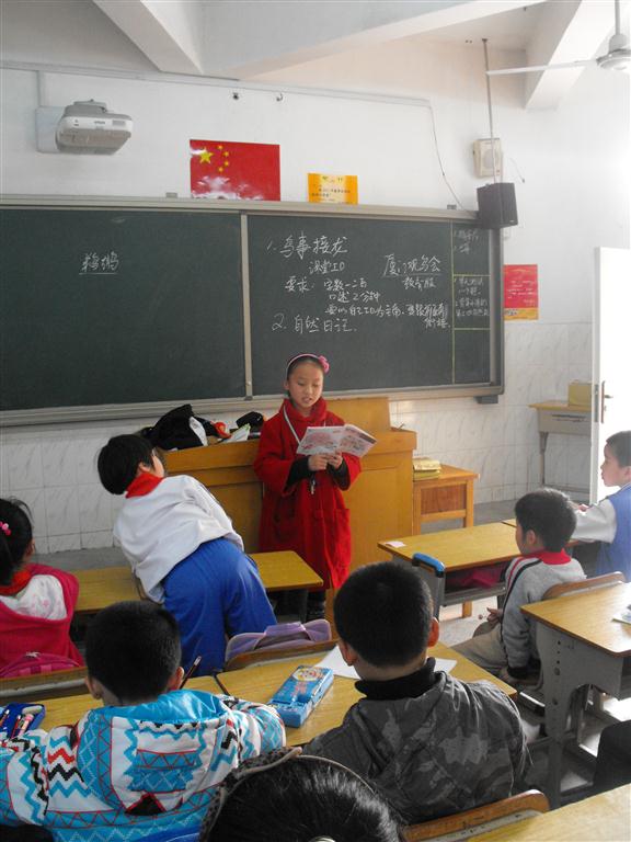 上传的图片