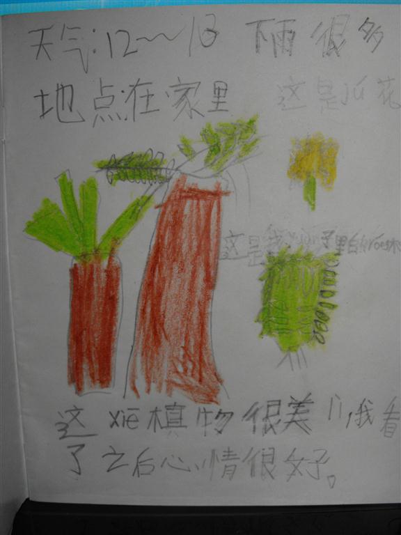 上传的图片