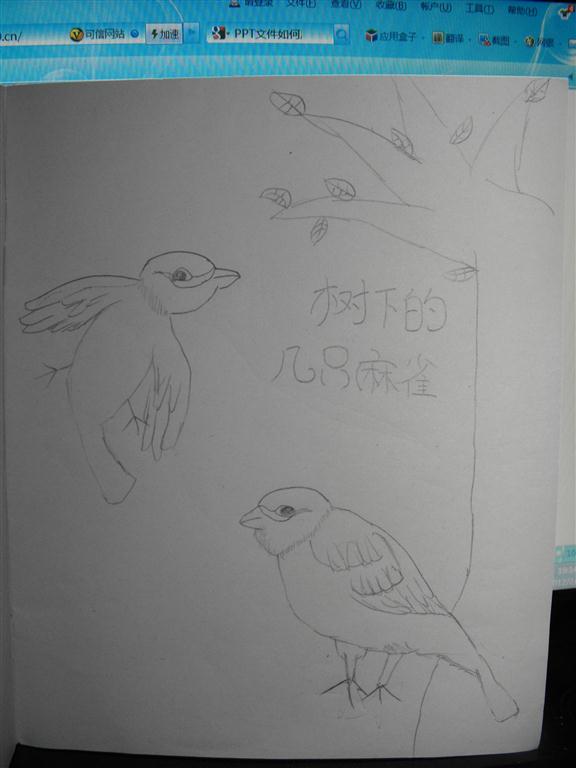 上传的图片