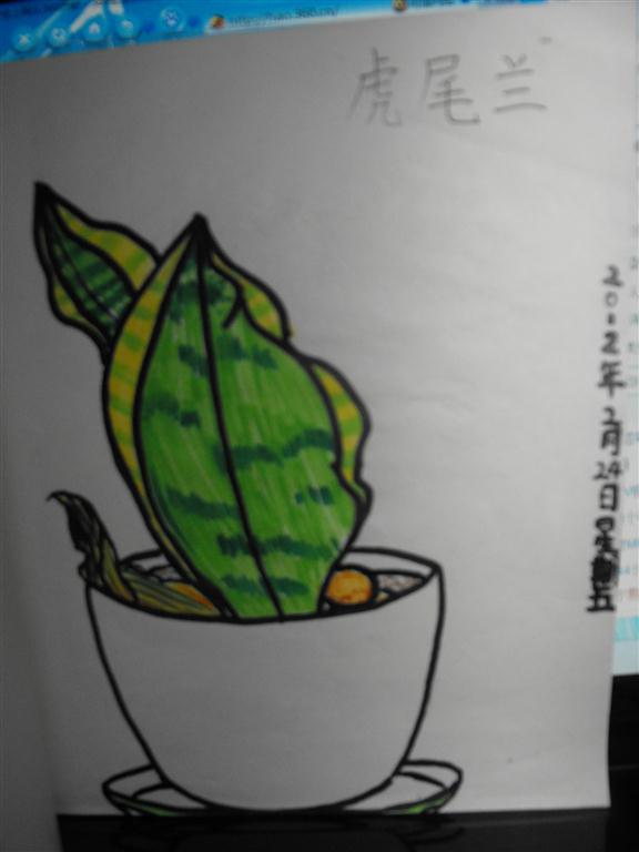 上传的图片
