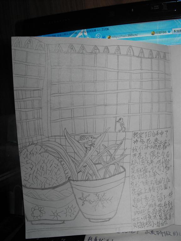 上传的图片
