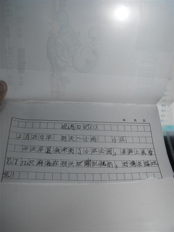 上传的图片