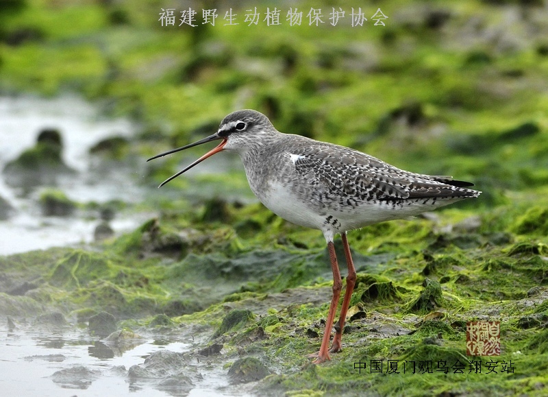 上传的图片