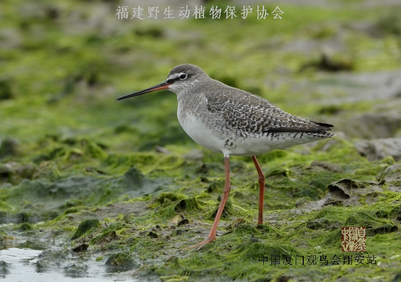 上传的图片