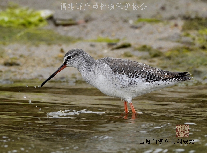 上传的图片