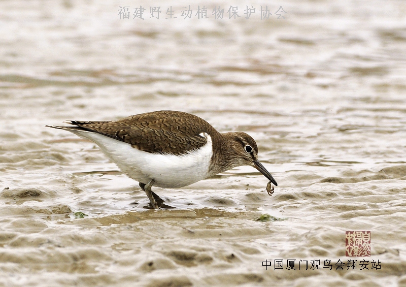 上传的图片