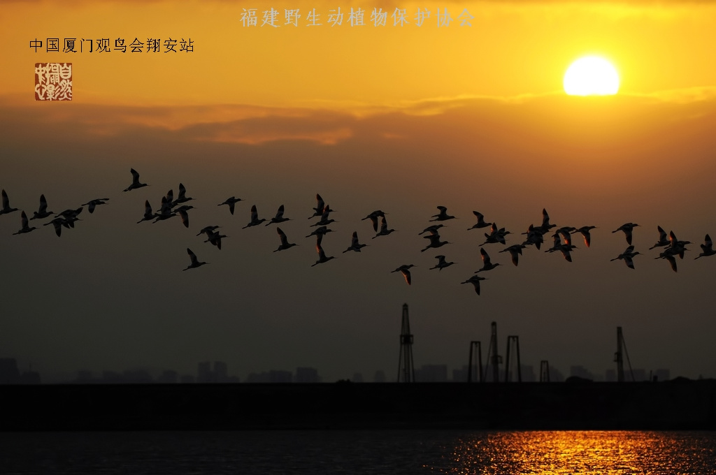 上传的图片