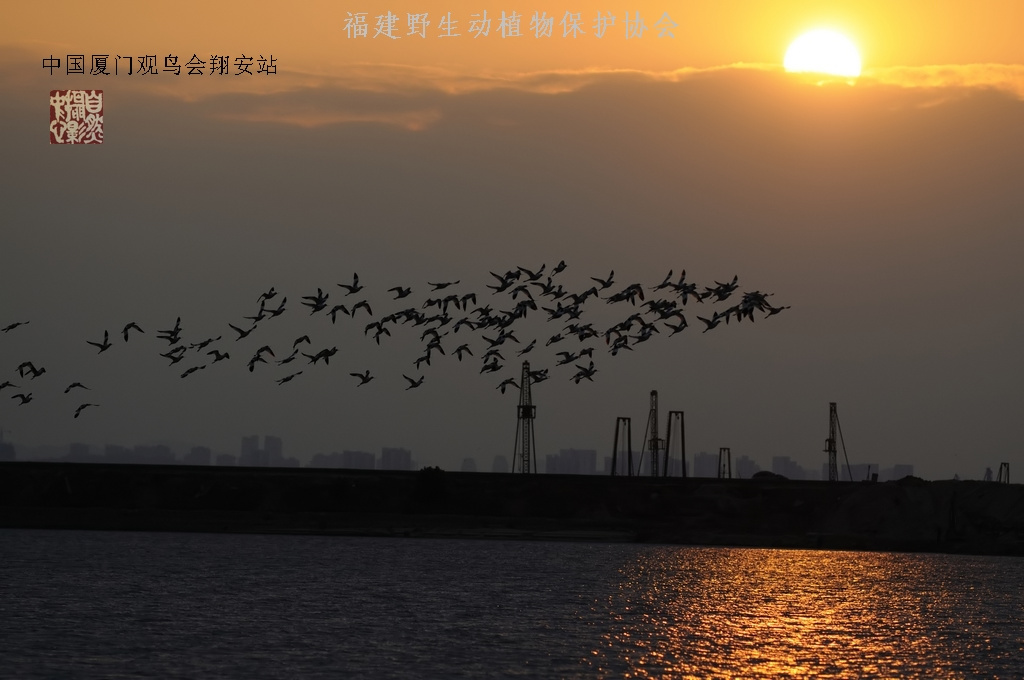上传的图片