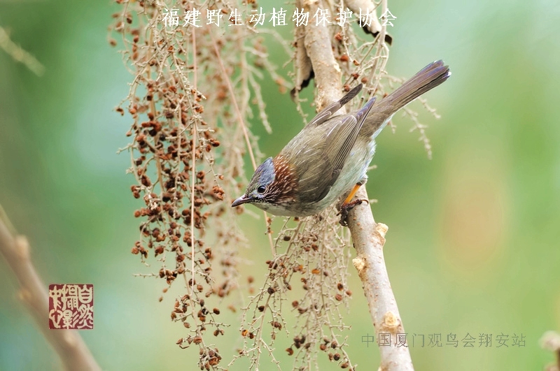 上传的图片