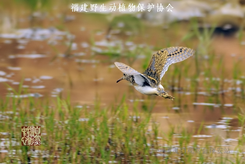 上传的图片