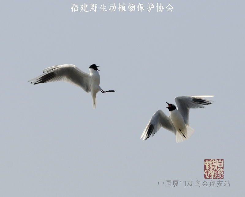 上传的图片