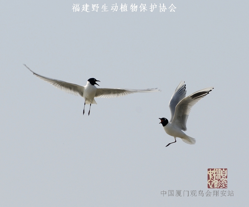 上传的图片
