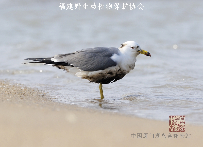 上传的图片