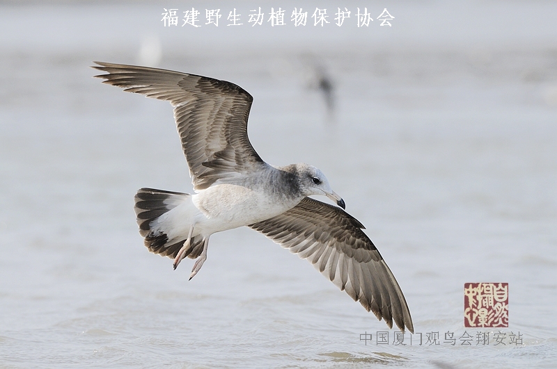 上传的图片