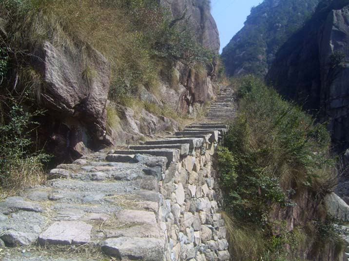 上传的图片