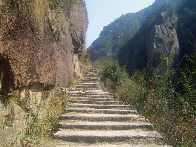 上传的图片