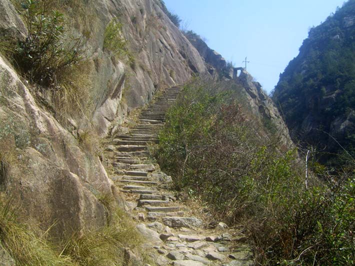 上传的图片