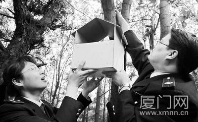 上传的图片