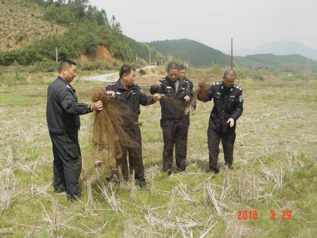 上传的图片
