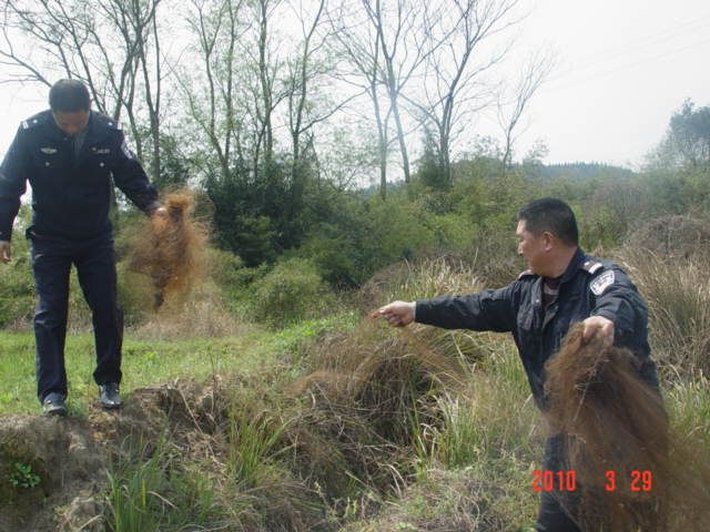 上传的图片