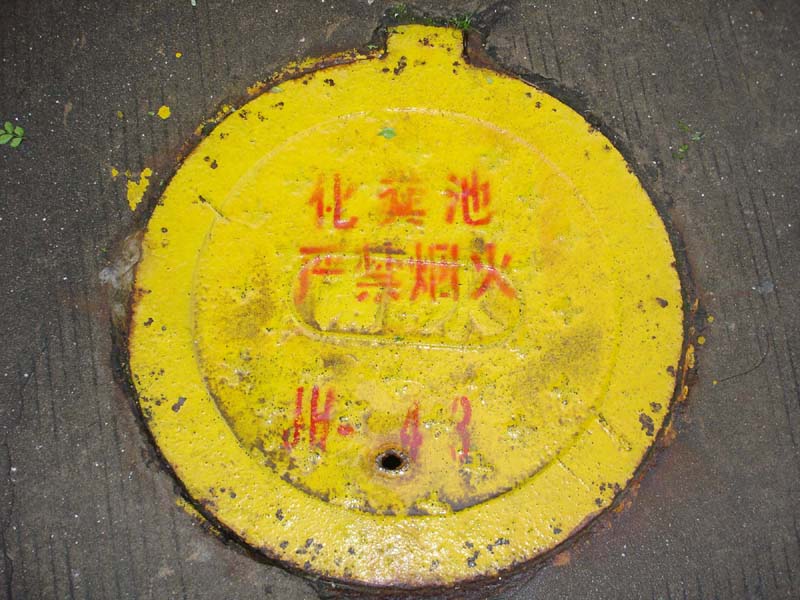 上传的图片