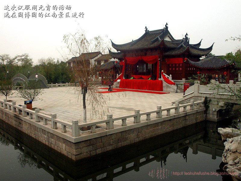 上传的图片