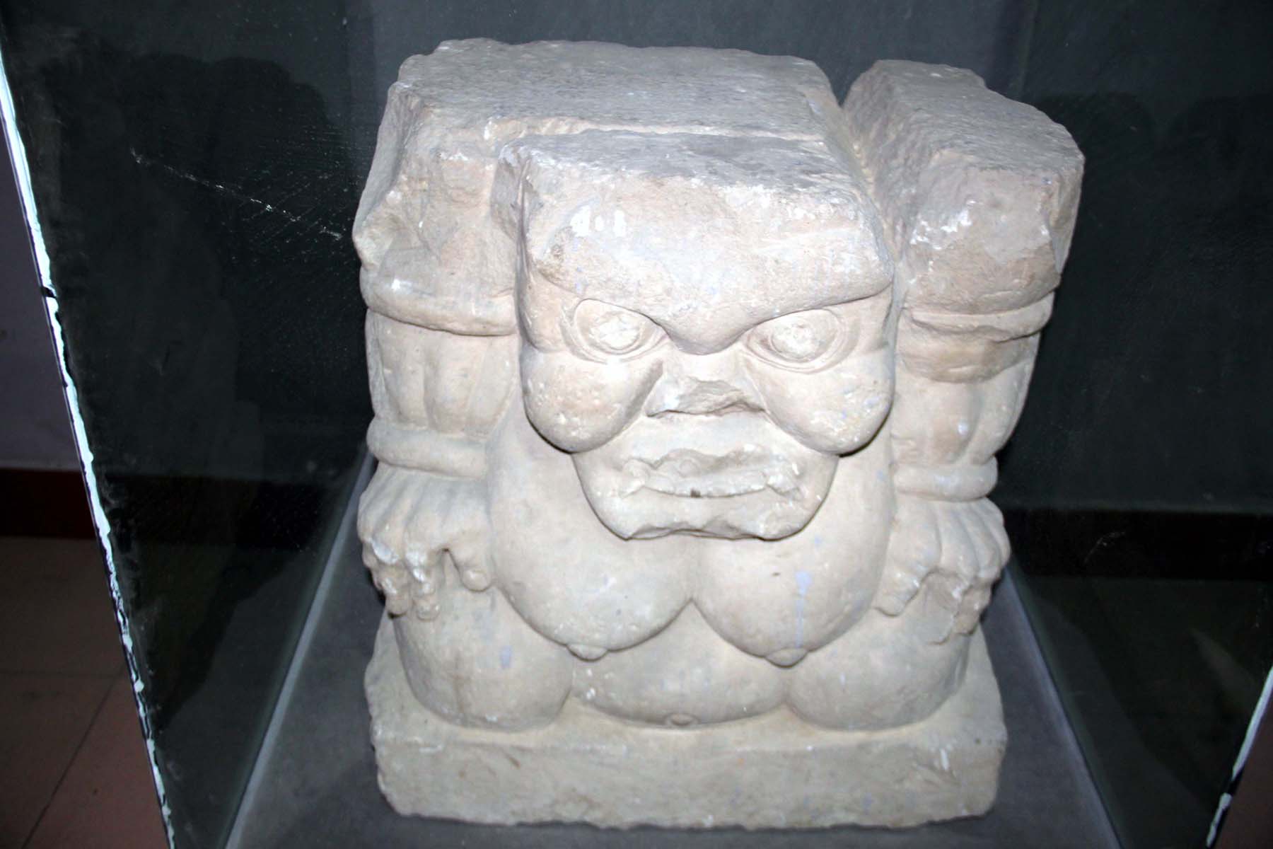 上传的图片