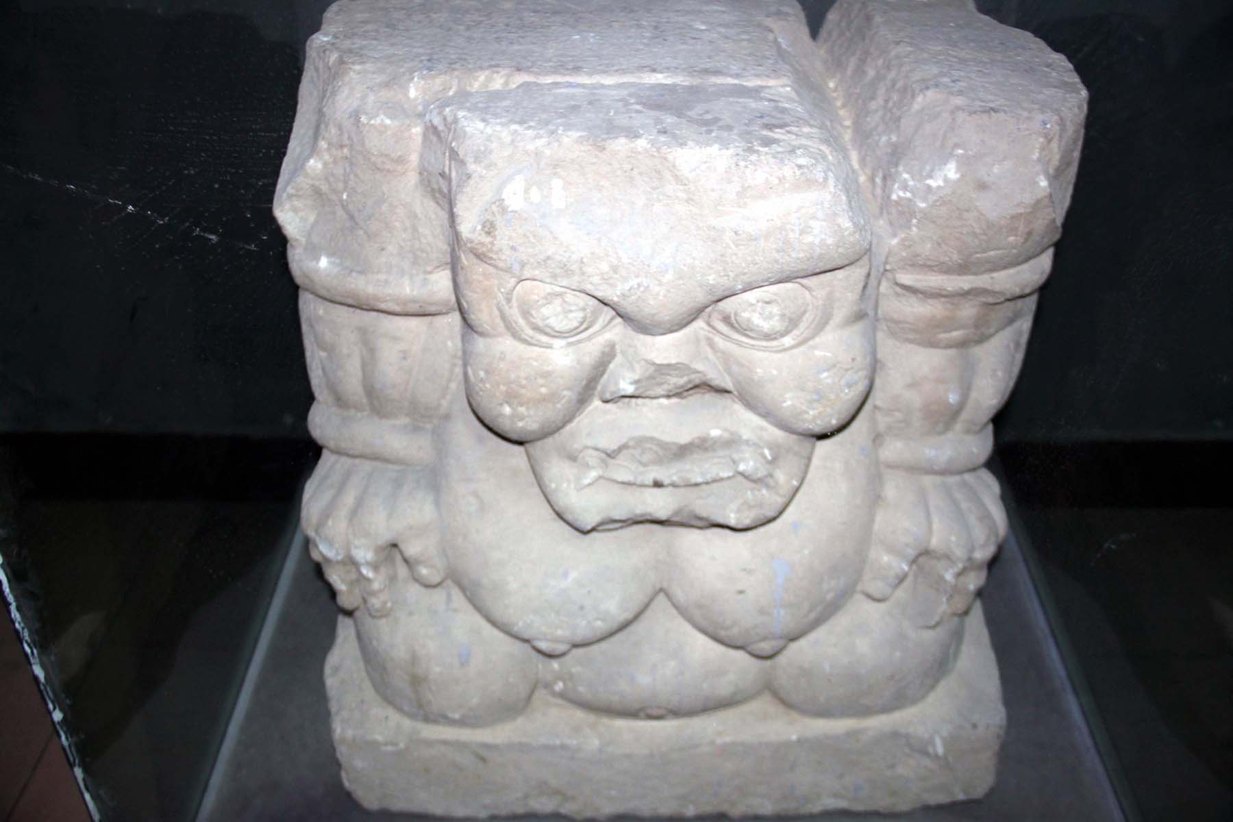 上传的图片
