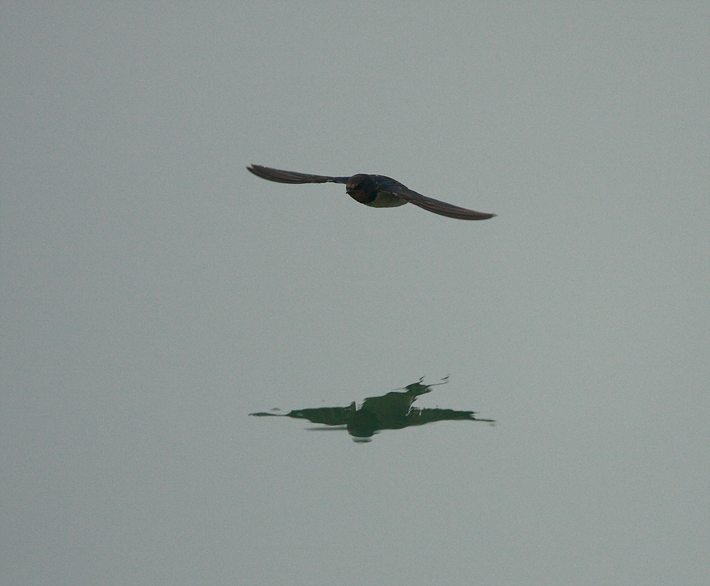 上传的图片