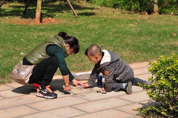 上传的图片