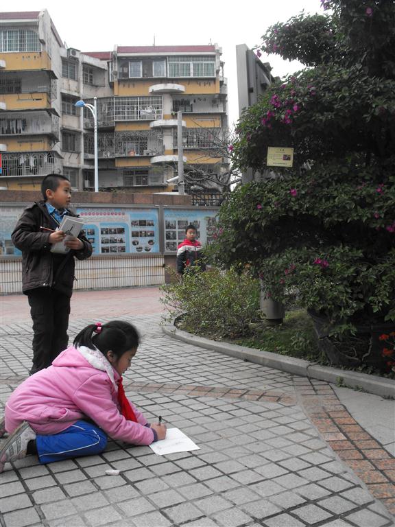 上传的图片