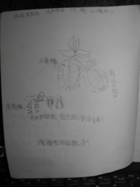 上传的图片
