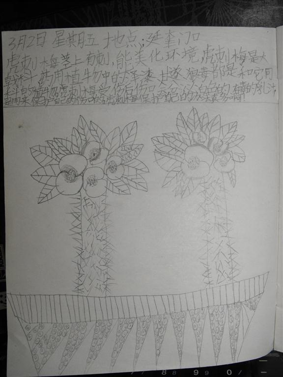 上传的图片