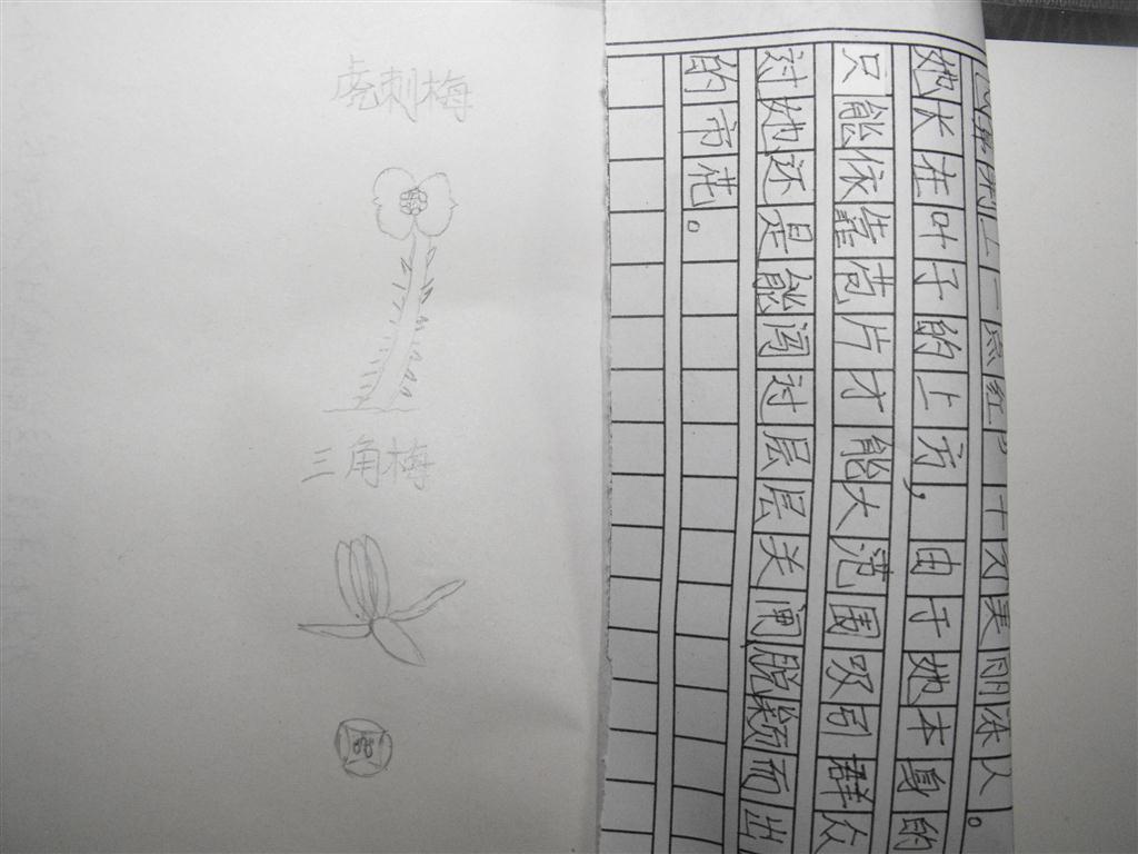 上传的图片