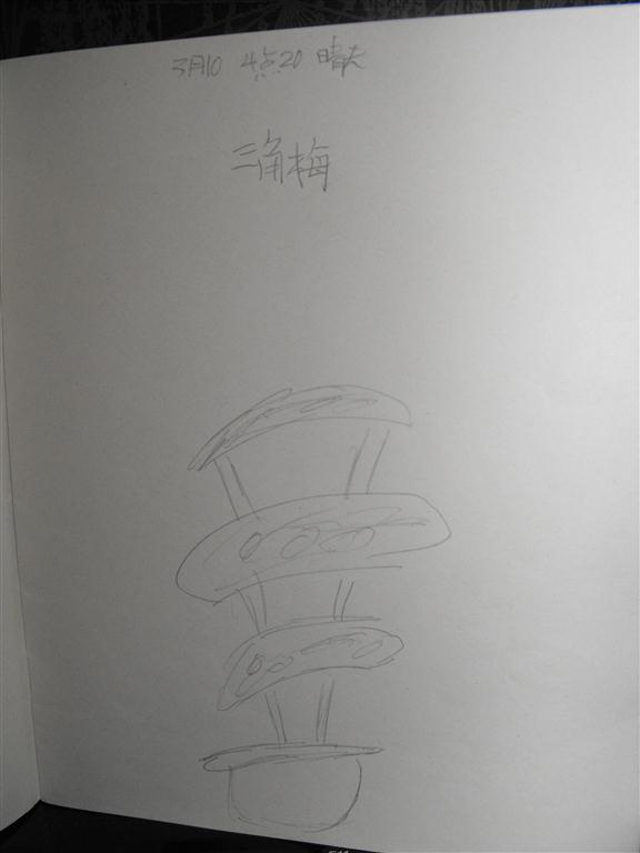 上传的图片