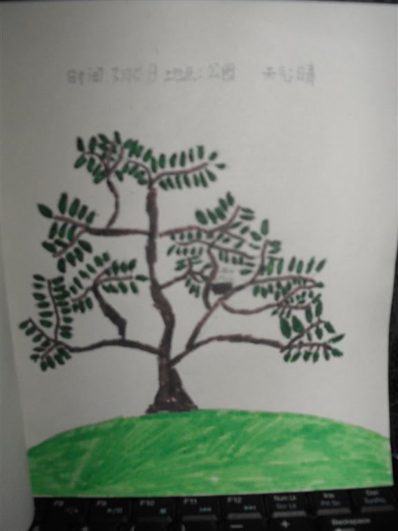 上传的图片