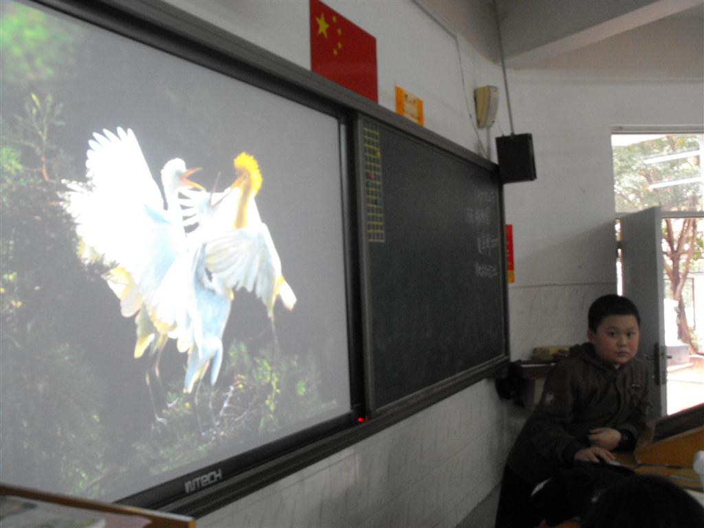 上传的图片