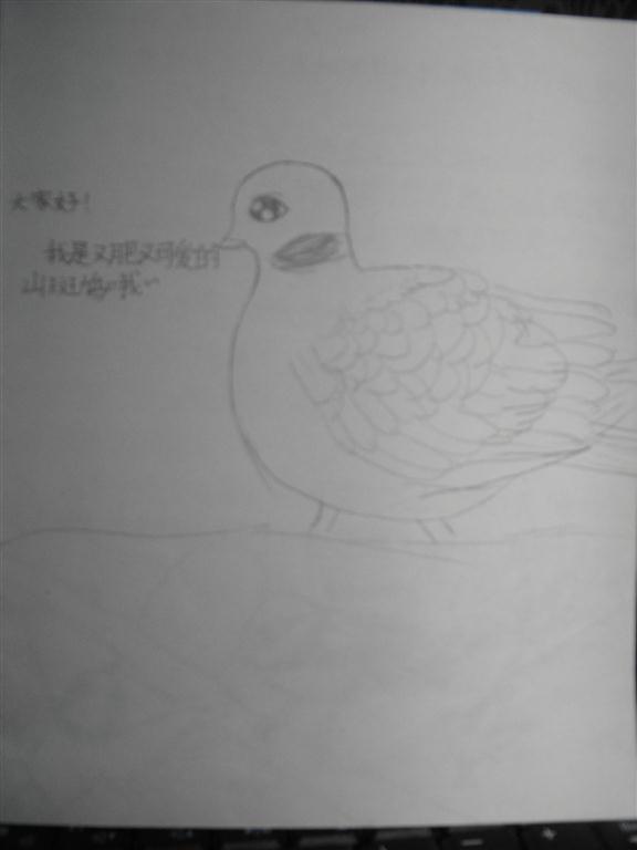 上传的图片