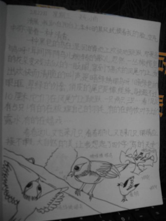 上传的图片
