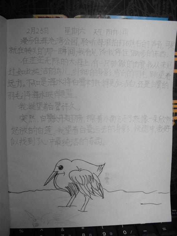 上传的图片