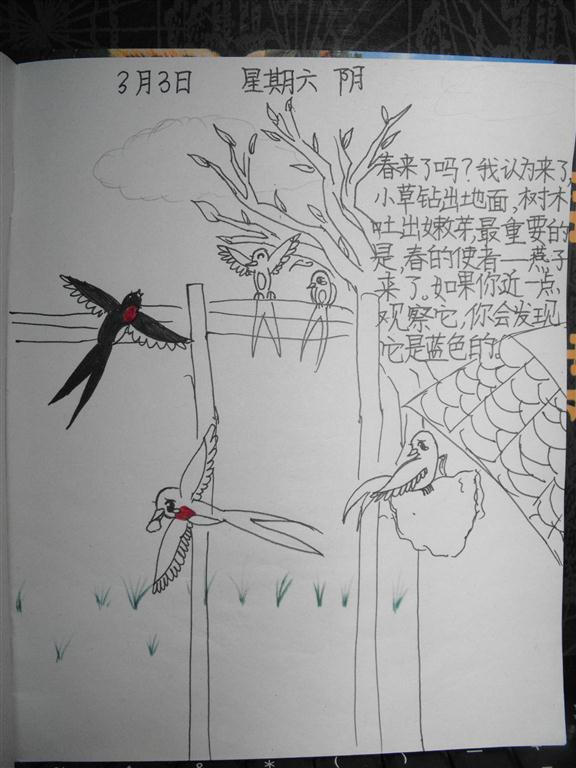 上传的图片