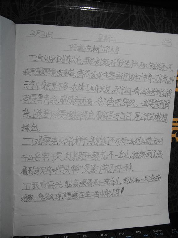 上传的图片