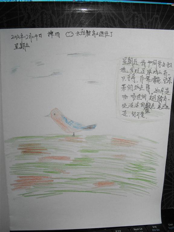 上传的图片