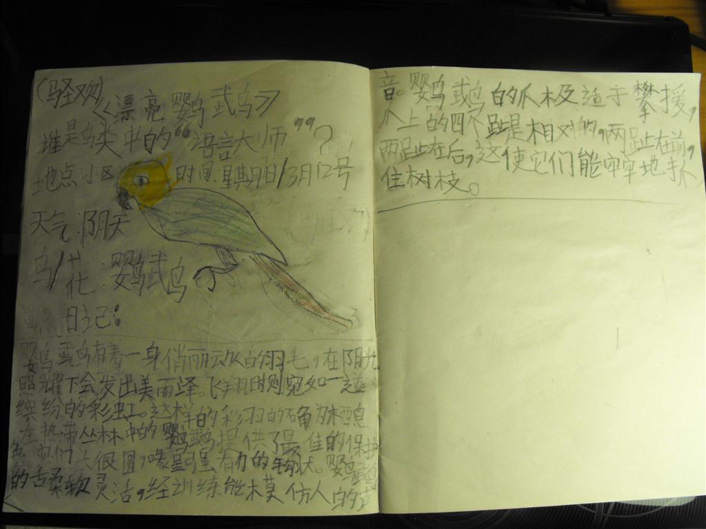 上传的图片