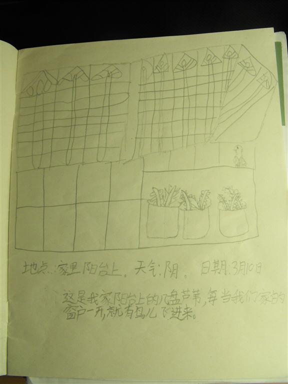 上传的图片