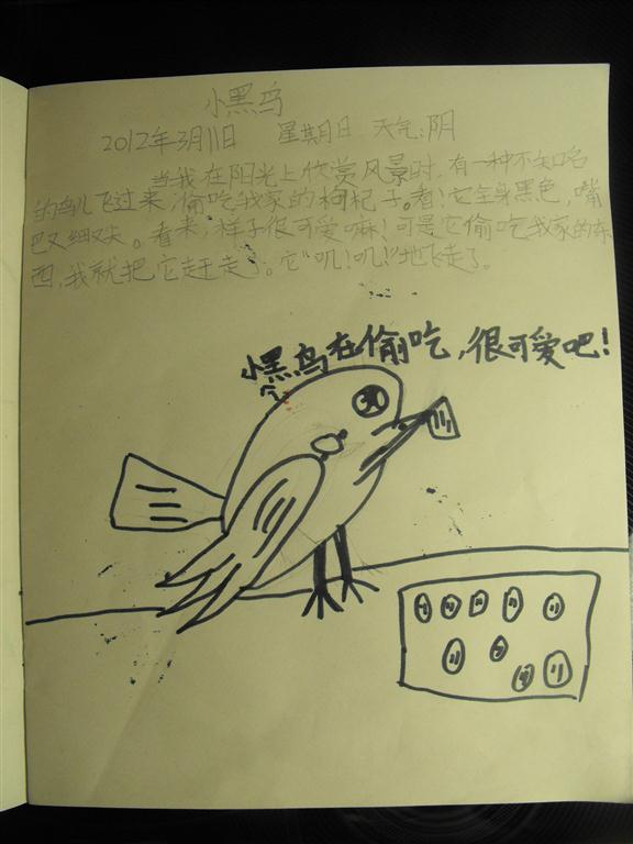 上传的图片