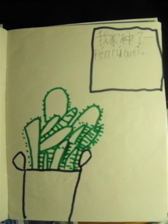 上传的图片