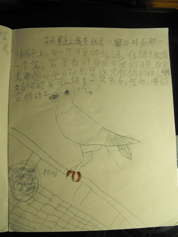 上传的图片